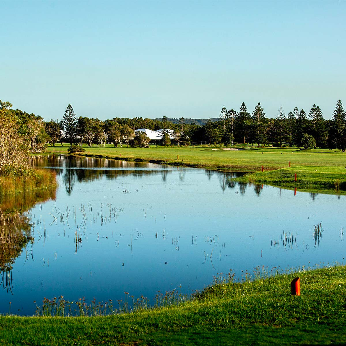 Belmont Golf Club.webp
